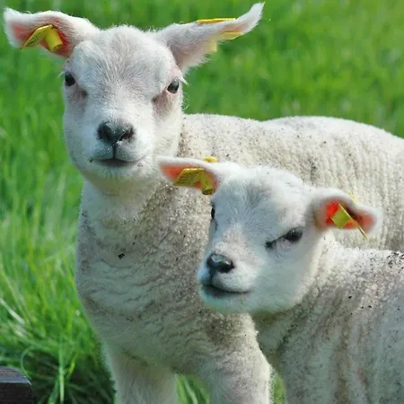 Σπίτι διακοπών Mansion In *