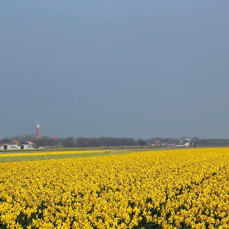 Mansion In בית נופש דה קוקסדורפ