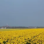 Mansion In De Cocksdorp Ferienhaus De Cocksdorp (Texel)