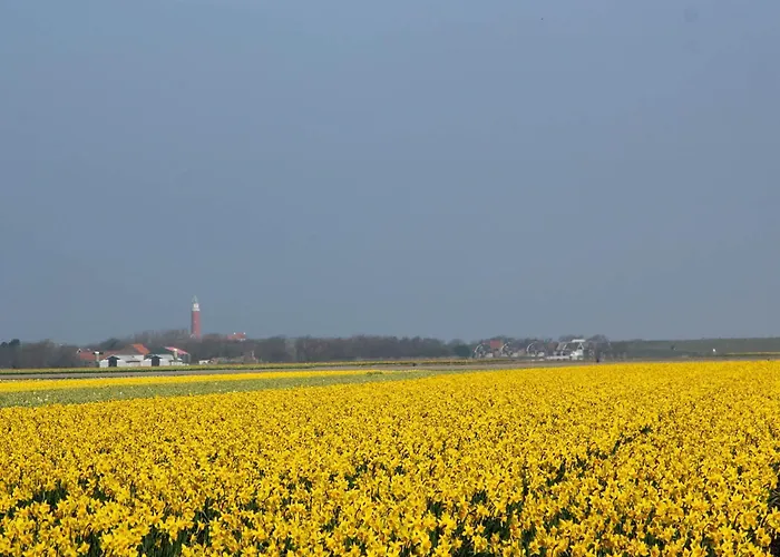 Mansion In De Cocksdorp Holiday home De Cocksdorp (Texel)